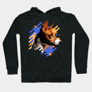 Basenji Hoodie